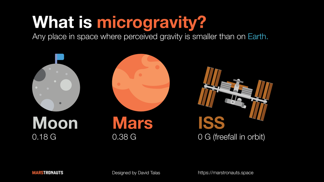 Introduction to the Effects of Microgravity on the Human Body
